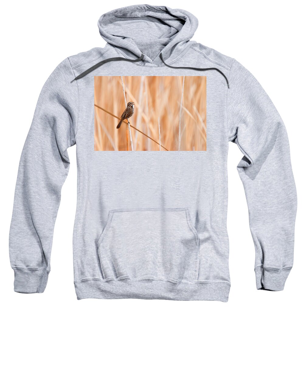 Song Sparrow Sweatshirt featuring the photograph Song Sparrow by Ram Vasudev