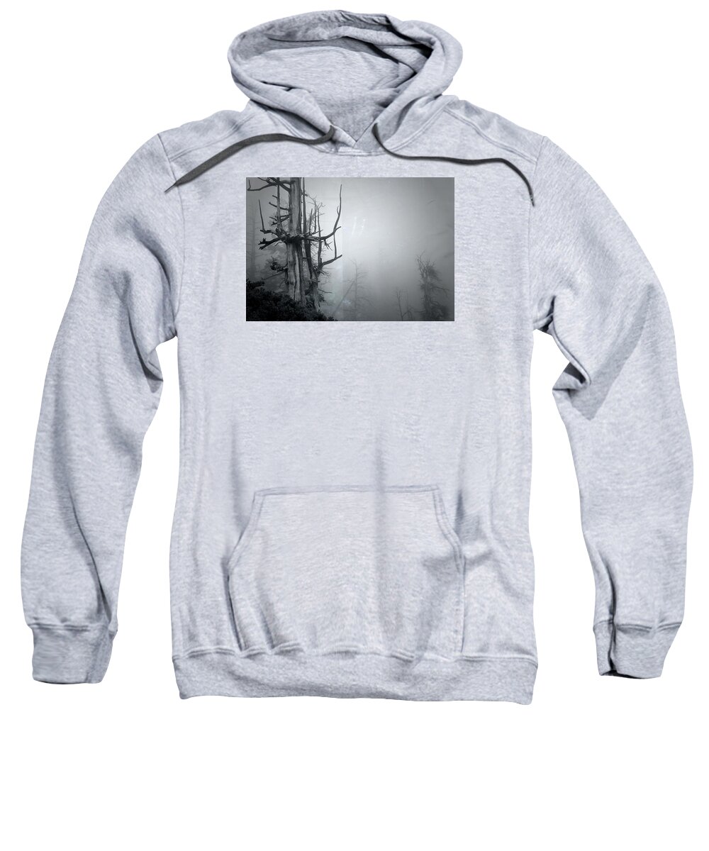 Trees Sweatshirt featuring the photograph Souls by Mark Ross
