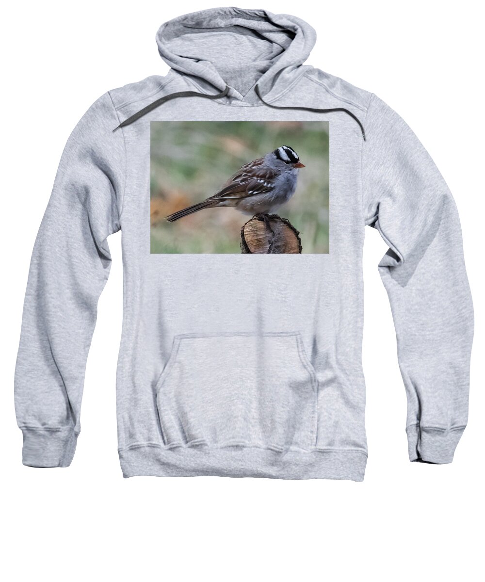 Jan Holden Sweatshirt featuring the photograph Sparrow   by Holden The Moment