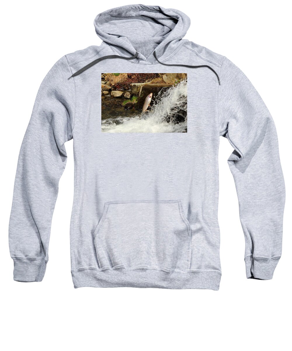 Fish Sweatshirt featuring the photograph Spawning Run Rainbow Trout by Duane Cross