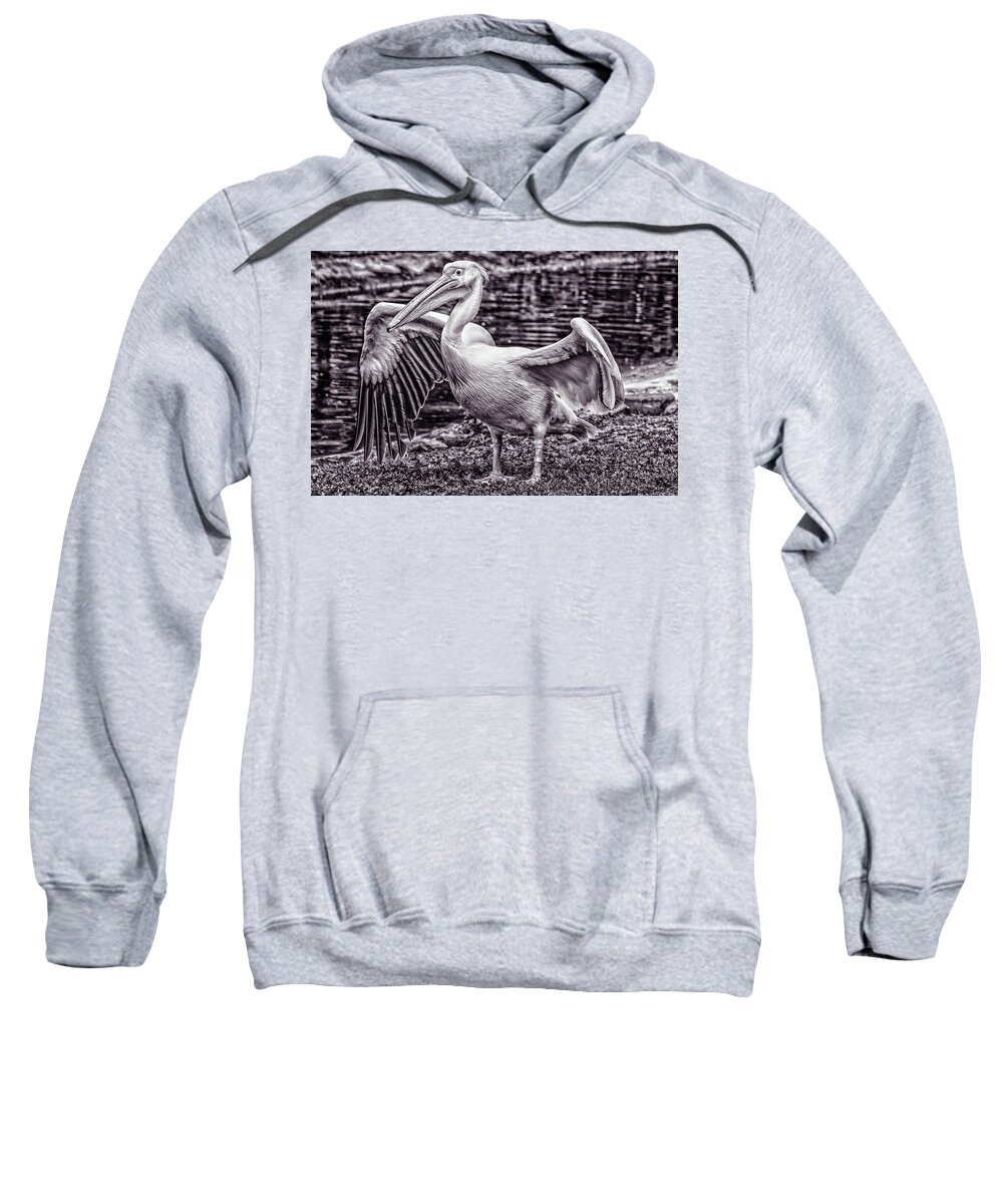 Animal Sweatshirt featuring the photograph Spread Your Wings by Rabiri Us