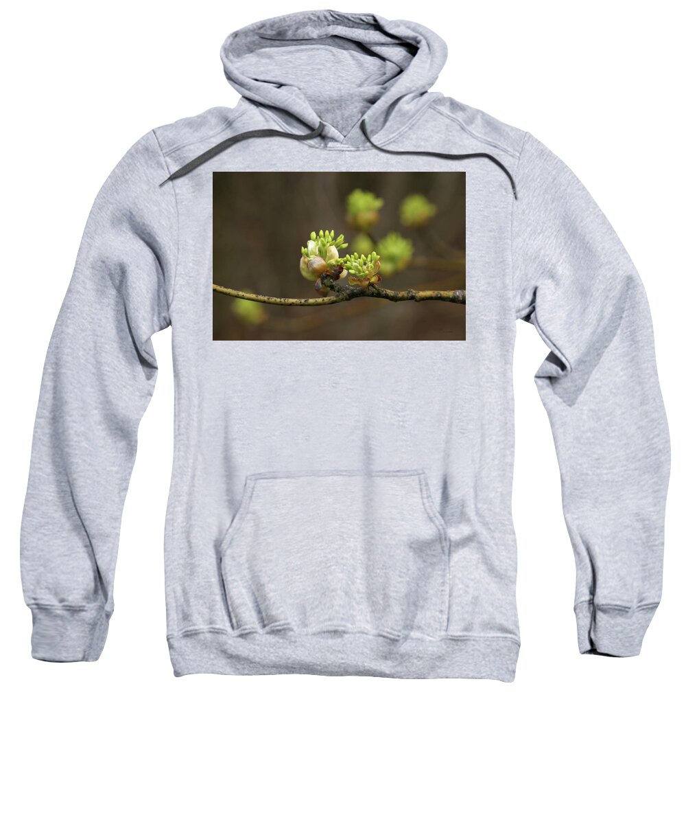 Spring Buds Sweatshirt featuring the photograph Spring Buds 9365 H_2 by Steven Ward