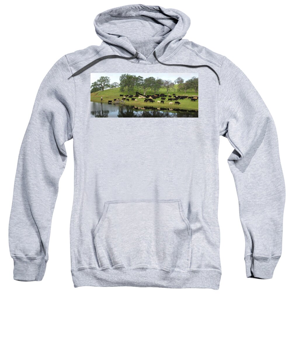 Cattle Sweatshirt featuring the photograph Spring Gather by Diane Bohna