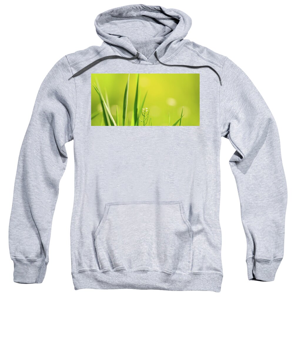 Illinois Sweatshirt featuring the photograph Spring Green by Joni Eskridge