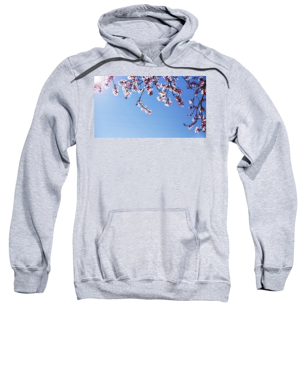 Cherry Blossoms Sweatshirt featuring the photograph Spring is here by Kunal Mehra