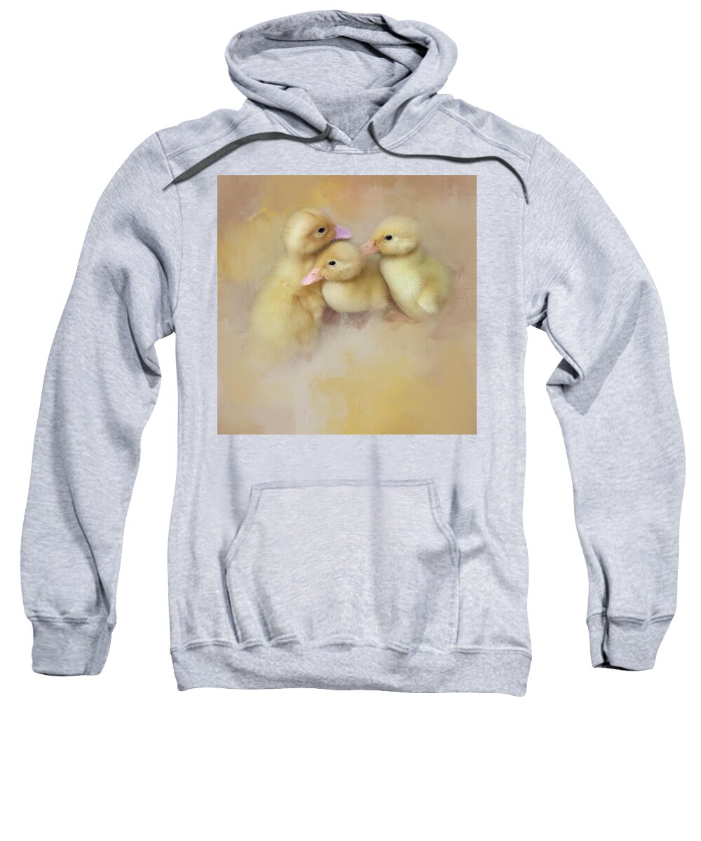 Ducks Sweatshirt featuring the photograph Springtime Babies by Jill Love