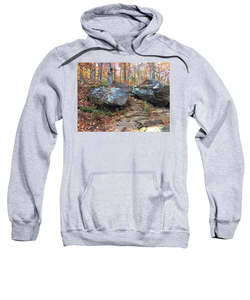 Trails Sweatshirt featuring the photograph Stairway by Richie Parks
