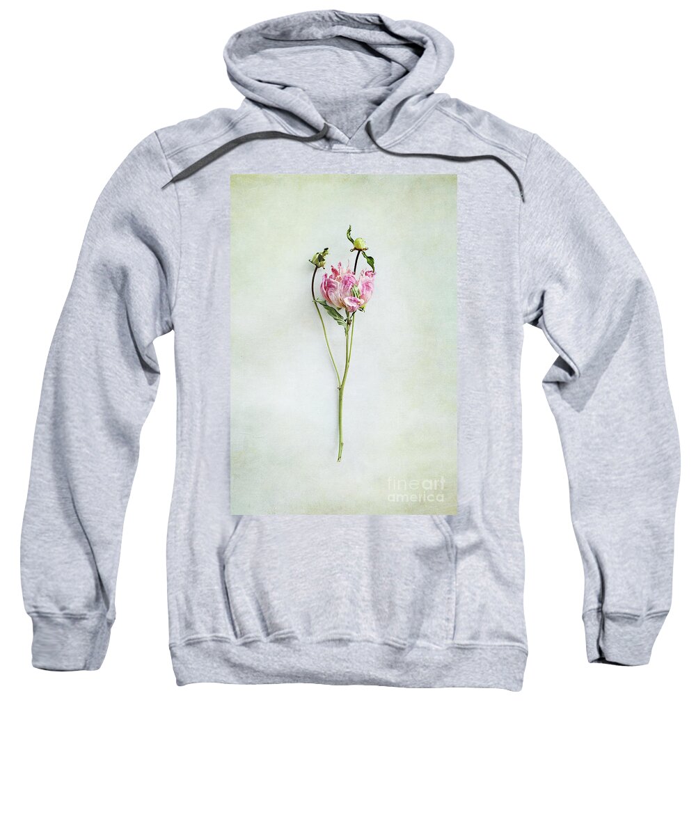 Peony Sweatshirt featuring the photograph Still life of a Peony with texture overlay by Stephanie Frey