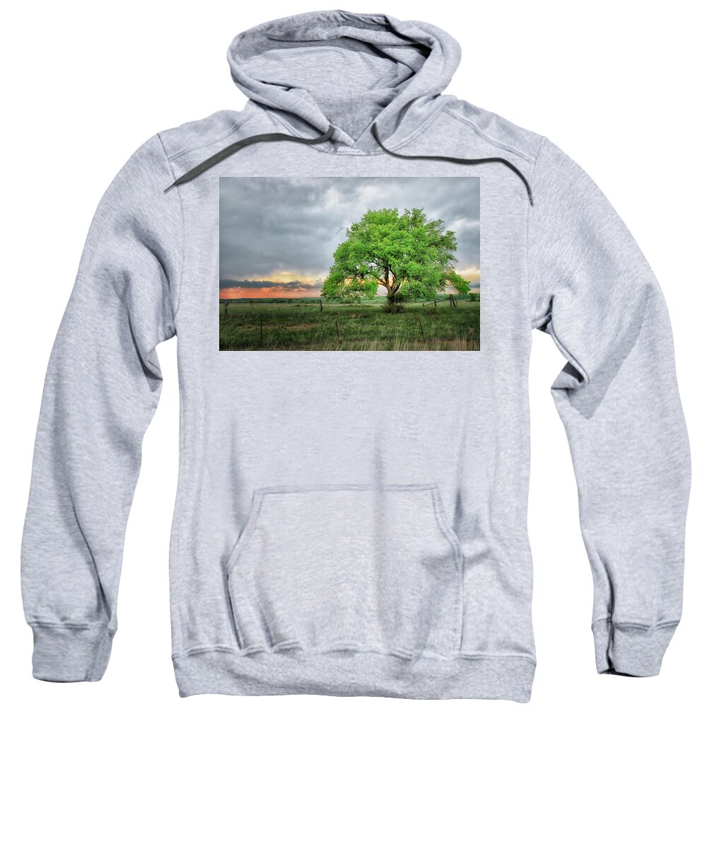 Storm Sweatshirt featuring the photograph Stormy Tree by Jolynn Reed