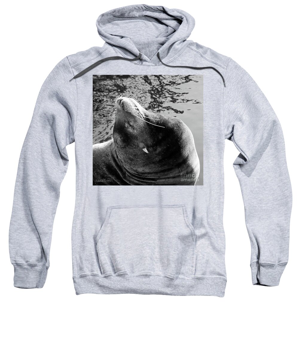 Wildlife Sweatshirt featuring the photograph Stretch, Black and White by Adam Morsa