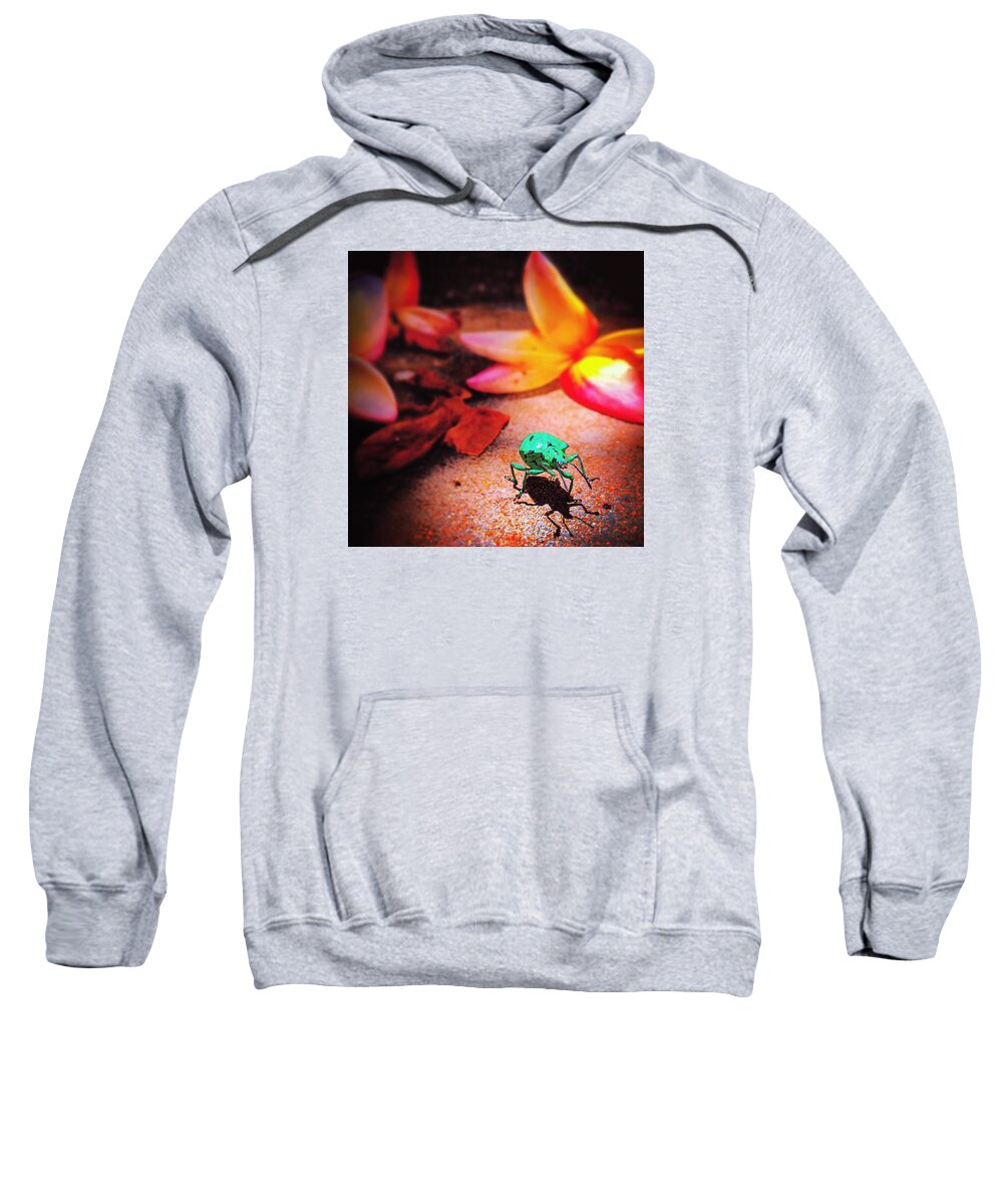Nature Sweatshirt featuring the photograph Strolling around by Lean P