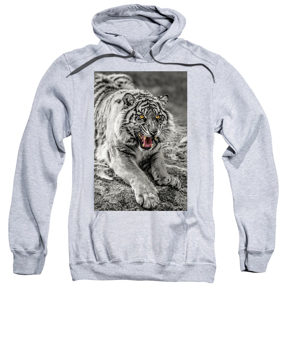 Sumatran Sweatshirt featuring the photograph Sumatran Tiger BW W with Selective Color by Rob Green