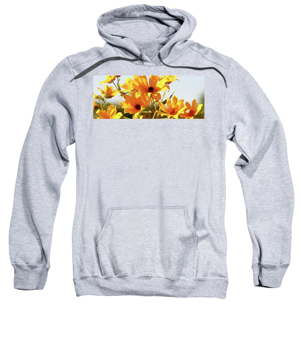 Summer Sweatshirt featuring the photograph Summer Field by Mary Anne Delgado