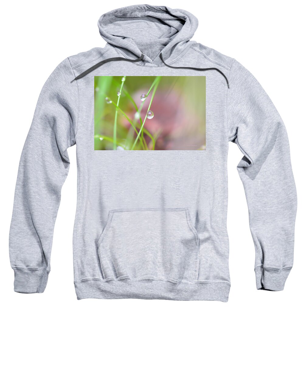 Dew Sweatshirt featuring the photograph Summer Of Dreams by Donna Blackhall
