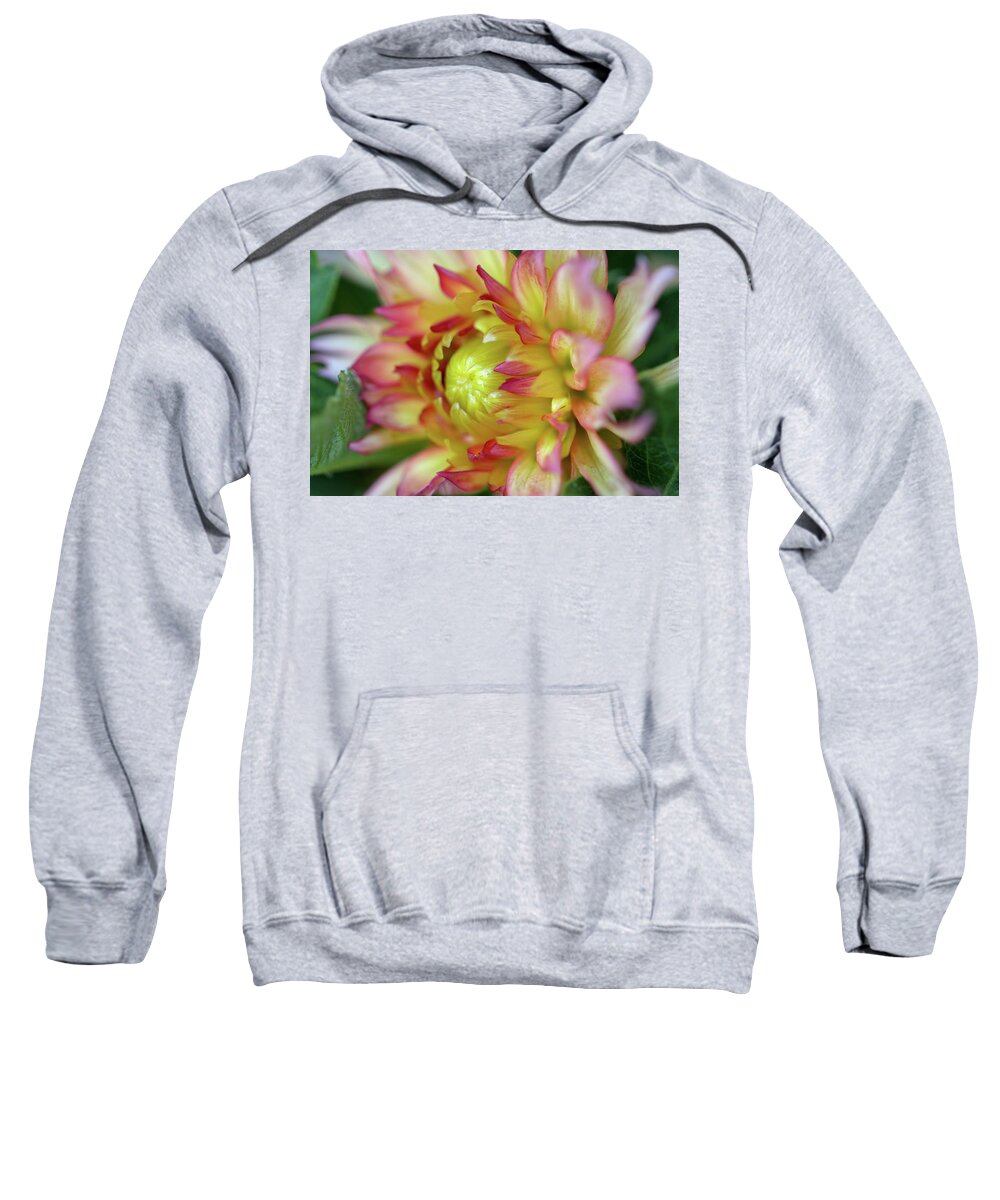Flower Sweatshirt featuring the photograph Summer Splendor by Mary Anne Delgado