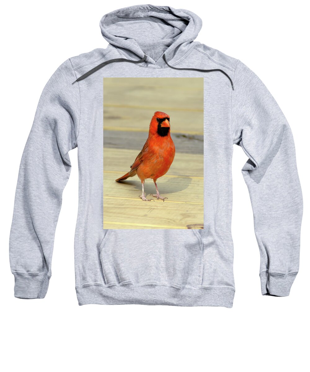 Lake Lynn Sweatshirt featuring the photograph Sumthin I Can Help You With by Gary Adkins