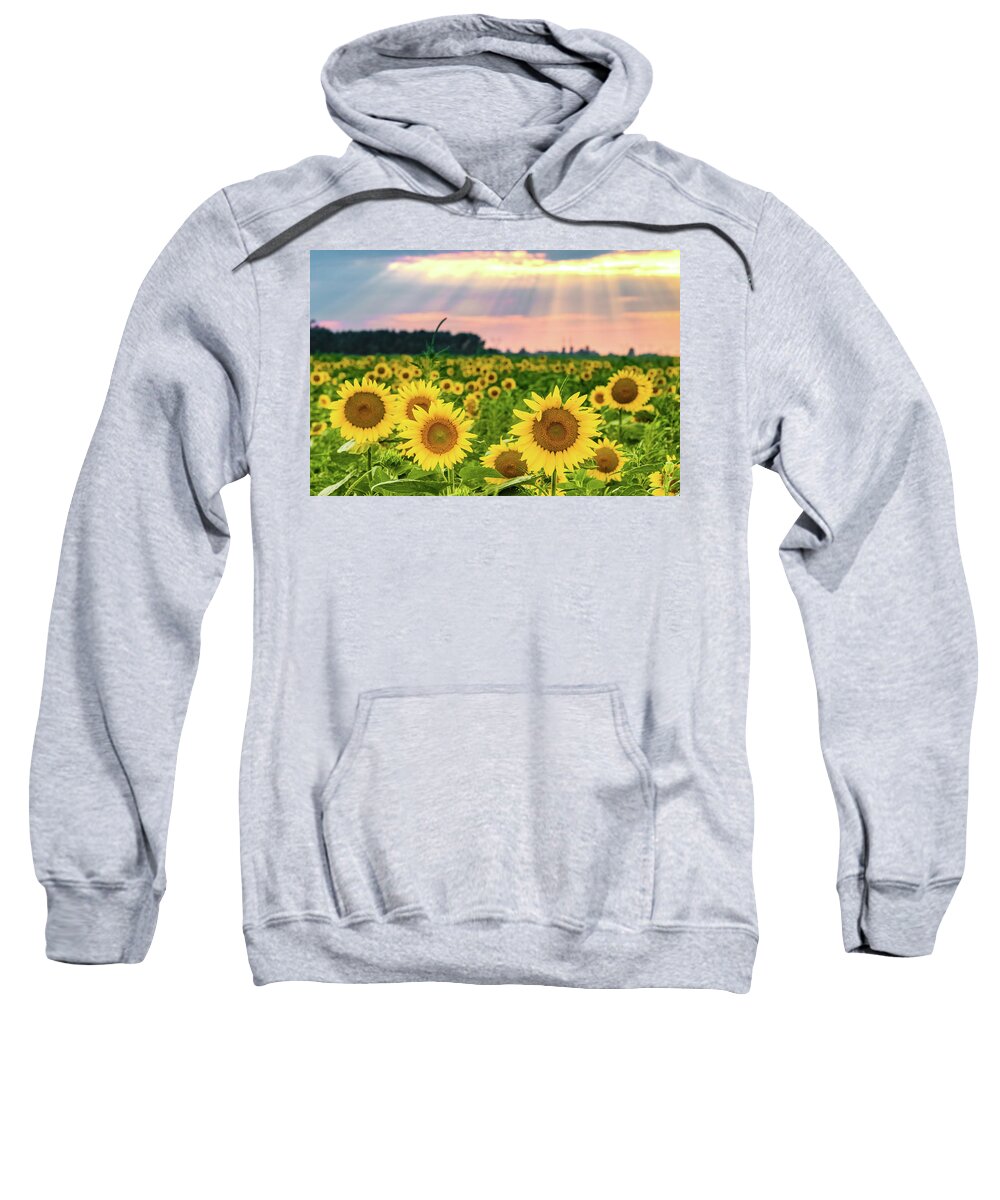 Photography Sweatshirt featuring the photograph Sun Ray Sunflower by Joe Kopp