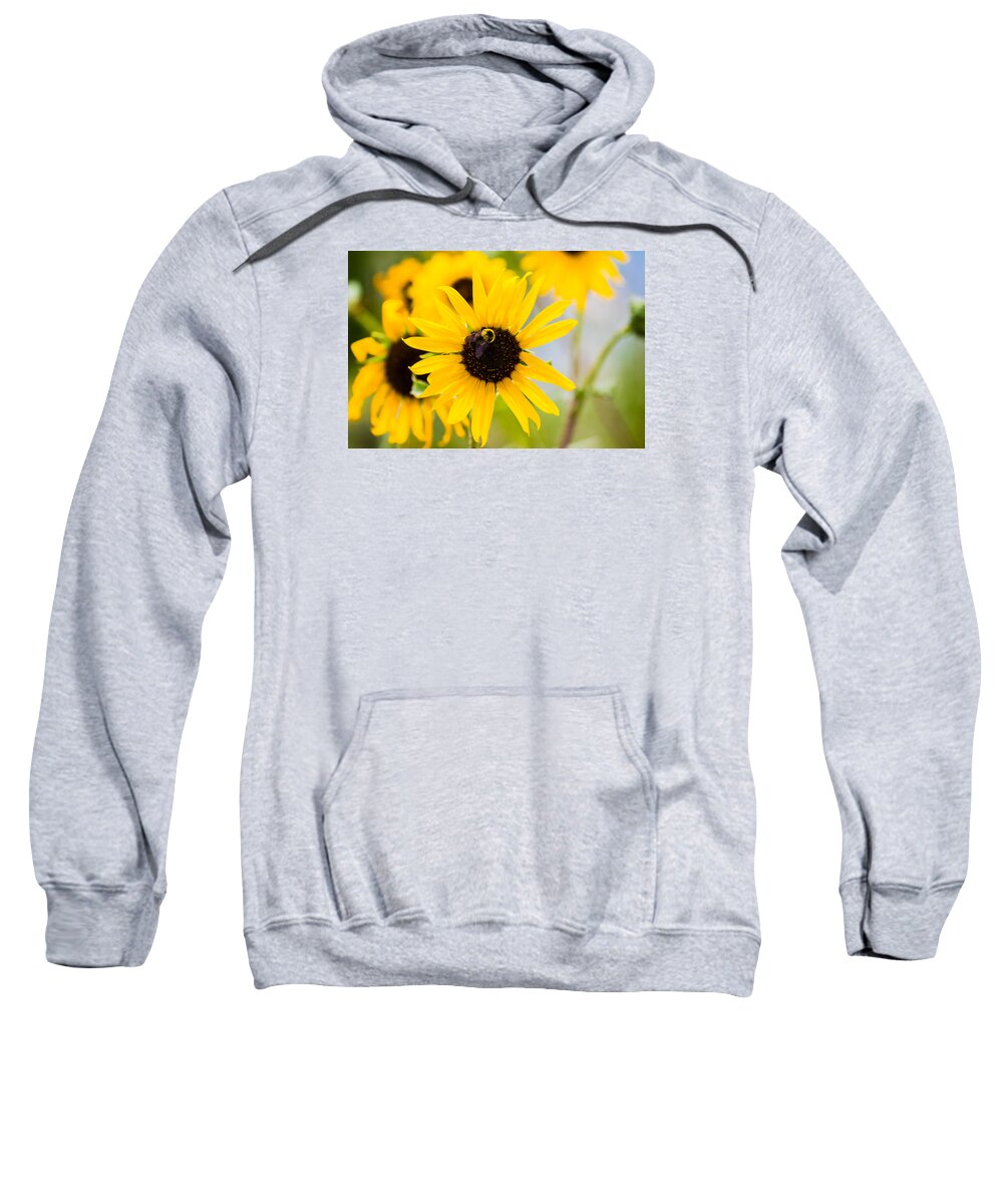 Bumble Bee Sweatshirt featuring the photograph Sunflower Bee by Mindy Musick King