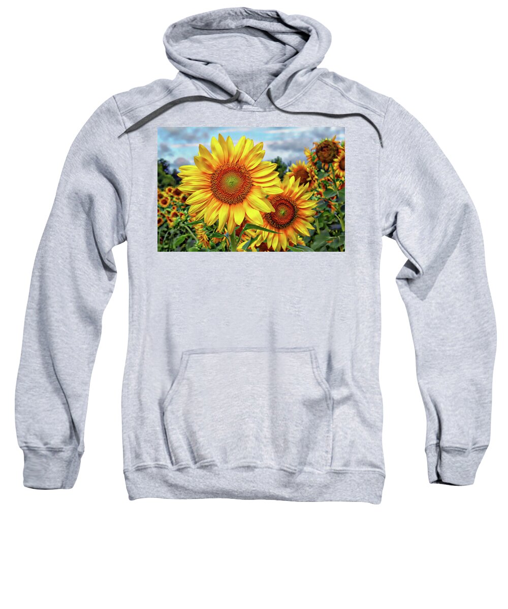 Sunflower Sweatshirt featuring the photograph Sunflower Field by Jessica Brawley