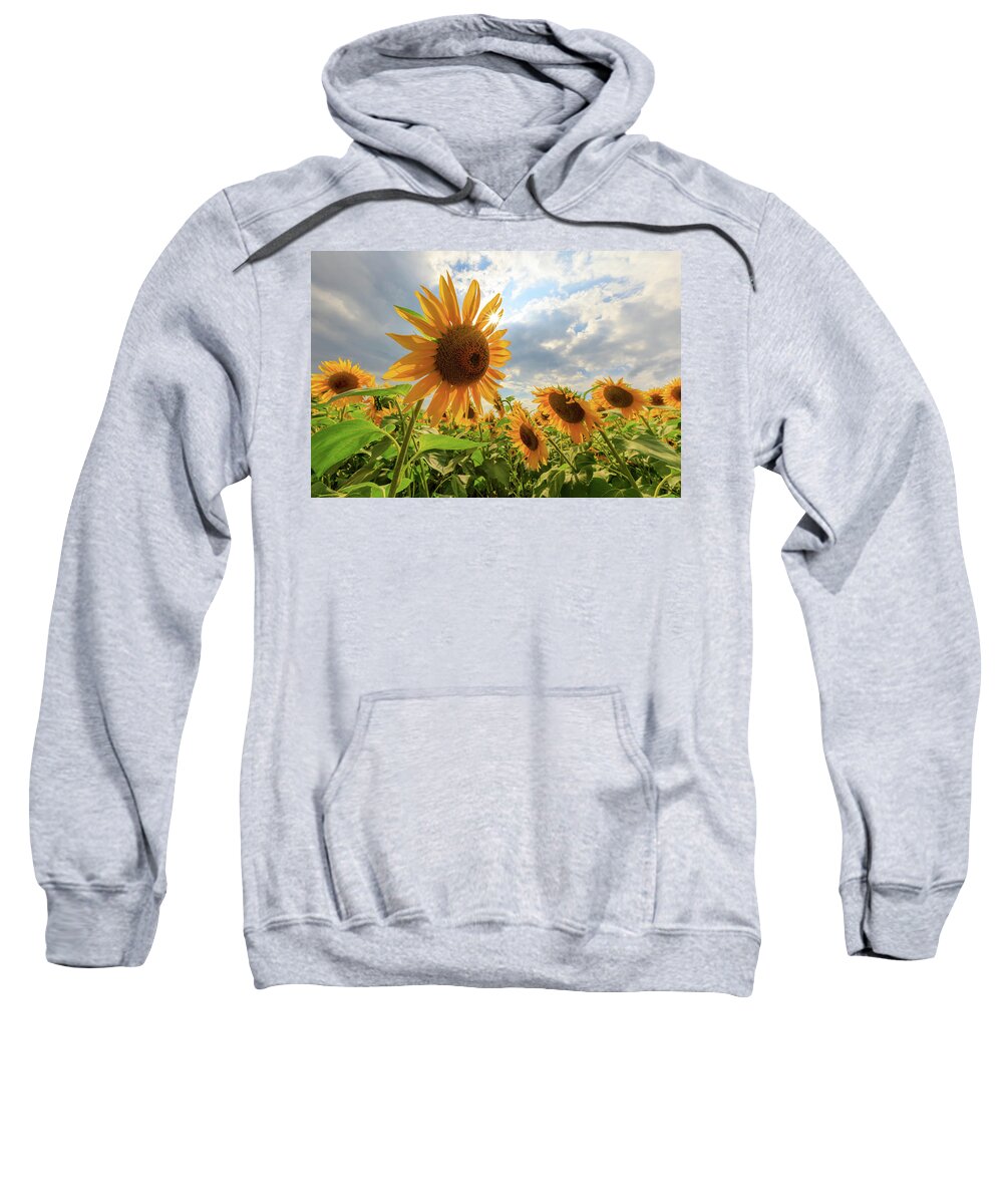 Sunflower Sweatshirt featuring the photograph Sunflower Star by Rob Davies