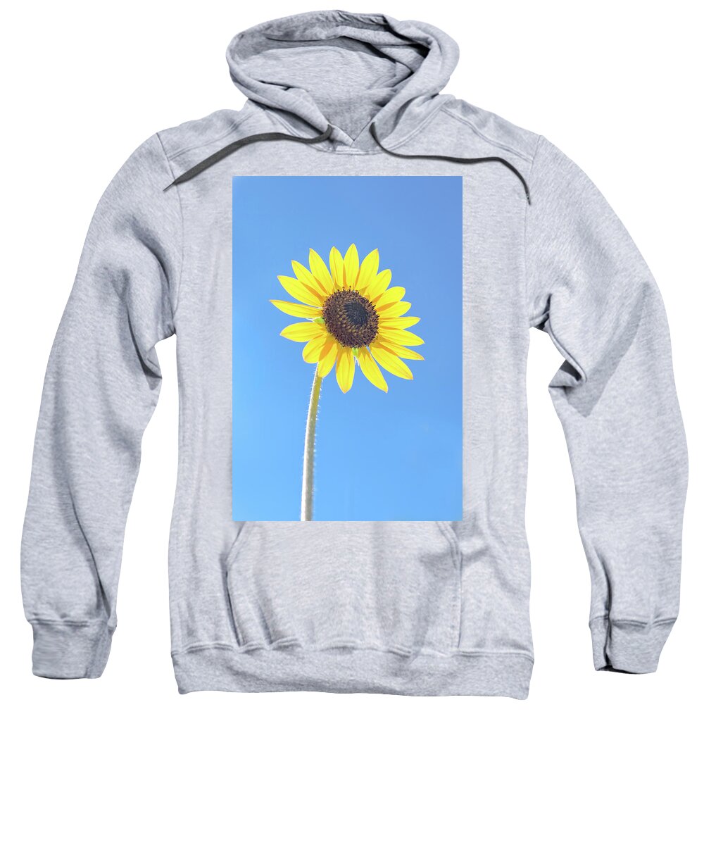 Sunflower Sweatshirt featuring the photograph Sunny Delight by Jennifer Grossnickle