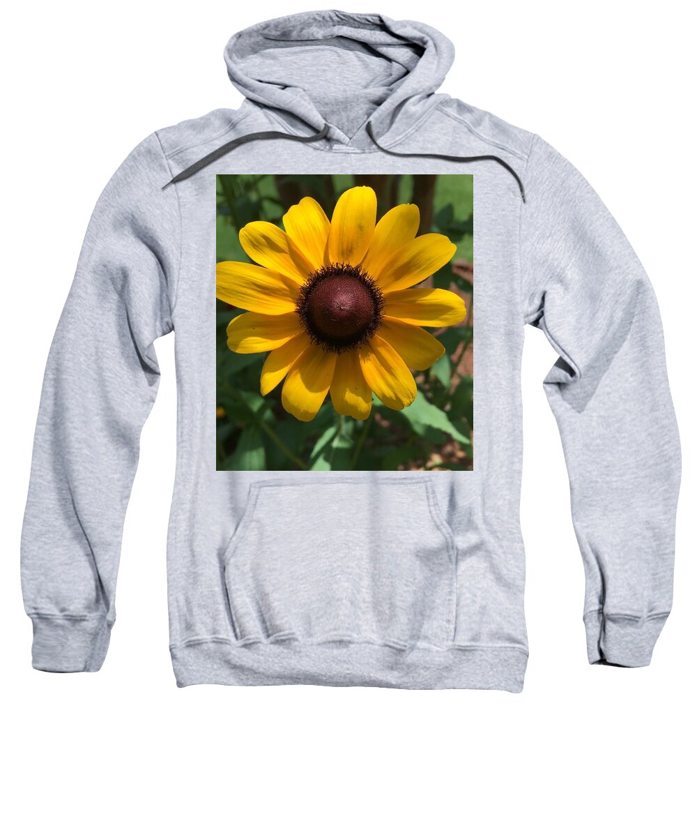 Sunflower Sweatshirt featuring the photograph Sunny by Pamela Henry