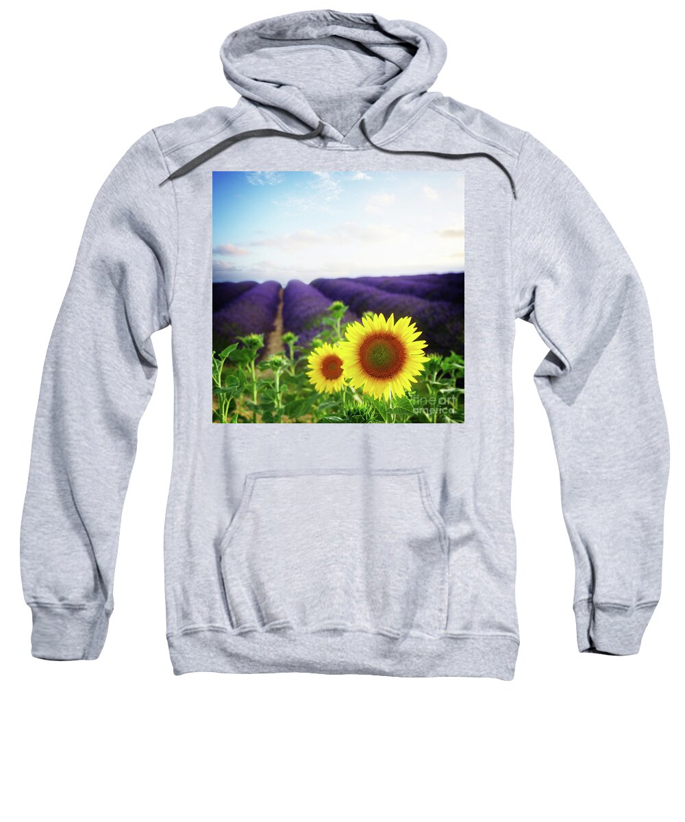 Lavender Sweatshirt featuring the photograph Sunrise over Sunflower and Lavender Field by Anastasy Yarmolovich