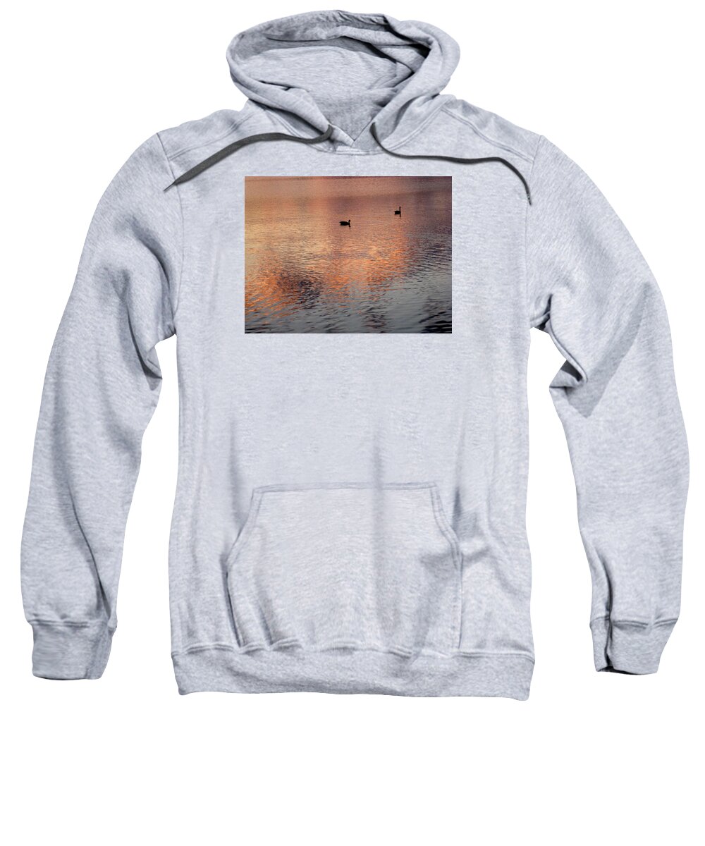 Sunrise Sweatshirt featuring the photograph Geese Float on Pink Swirls at Sunrise on Jamaica Pond by Giora Hadar