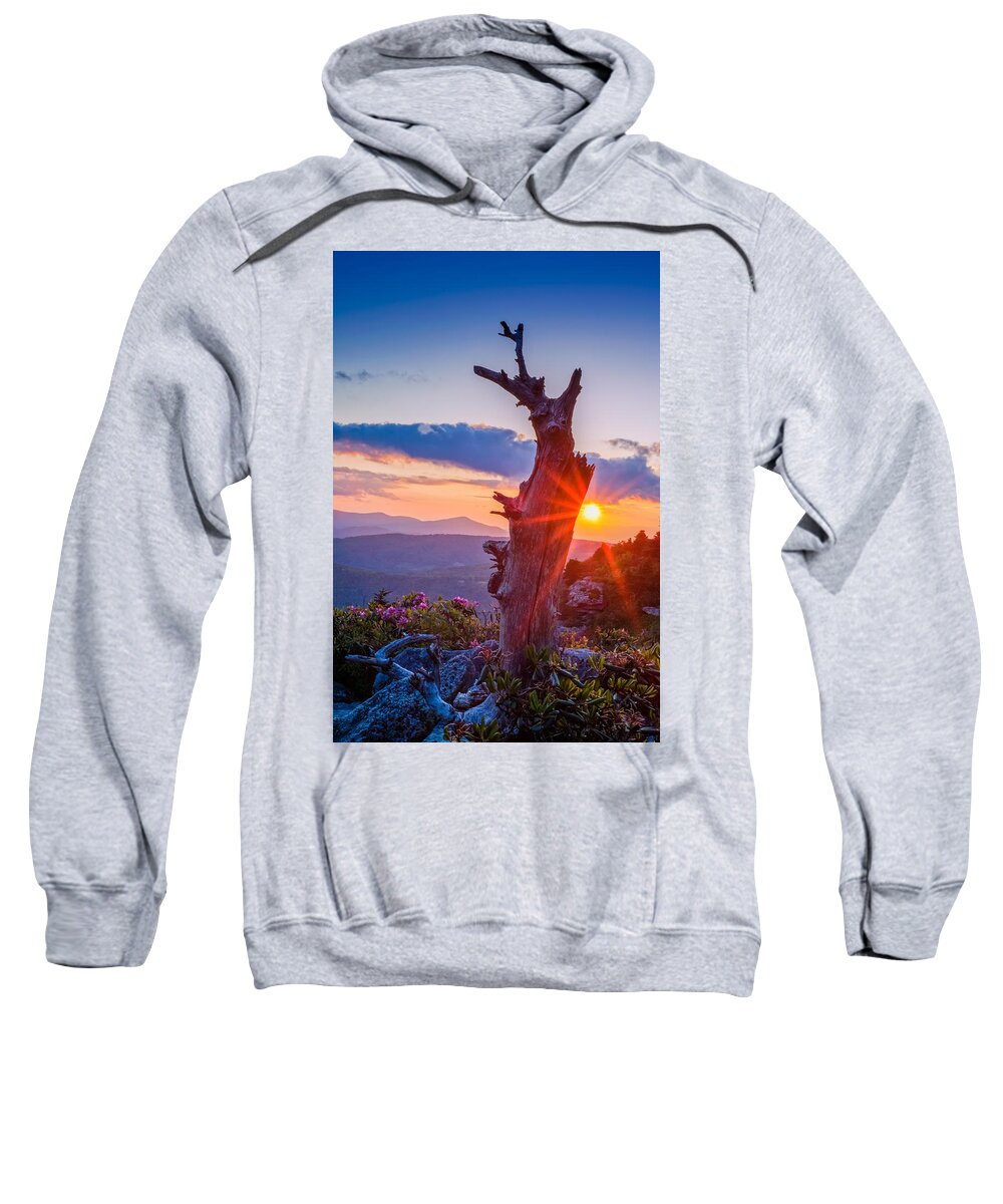 Joye Ardyn Durham Sweatshirt featuring the photograph Sunset Tree by Joye Ardyn Durham