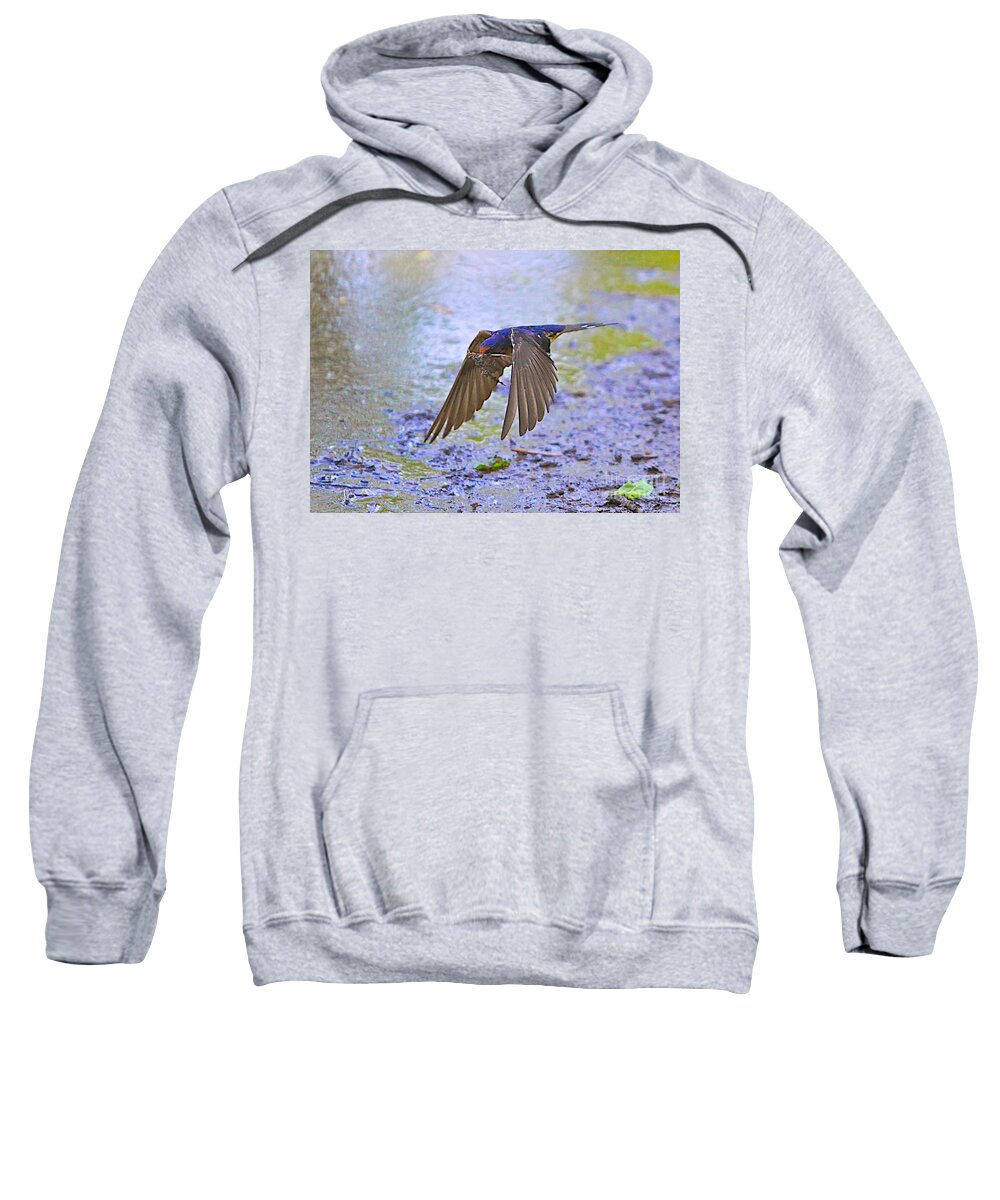 Related Tags: Birds Artwork Sweatshirt featuring the photograph Swallow Tail by Robert Pearson