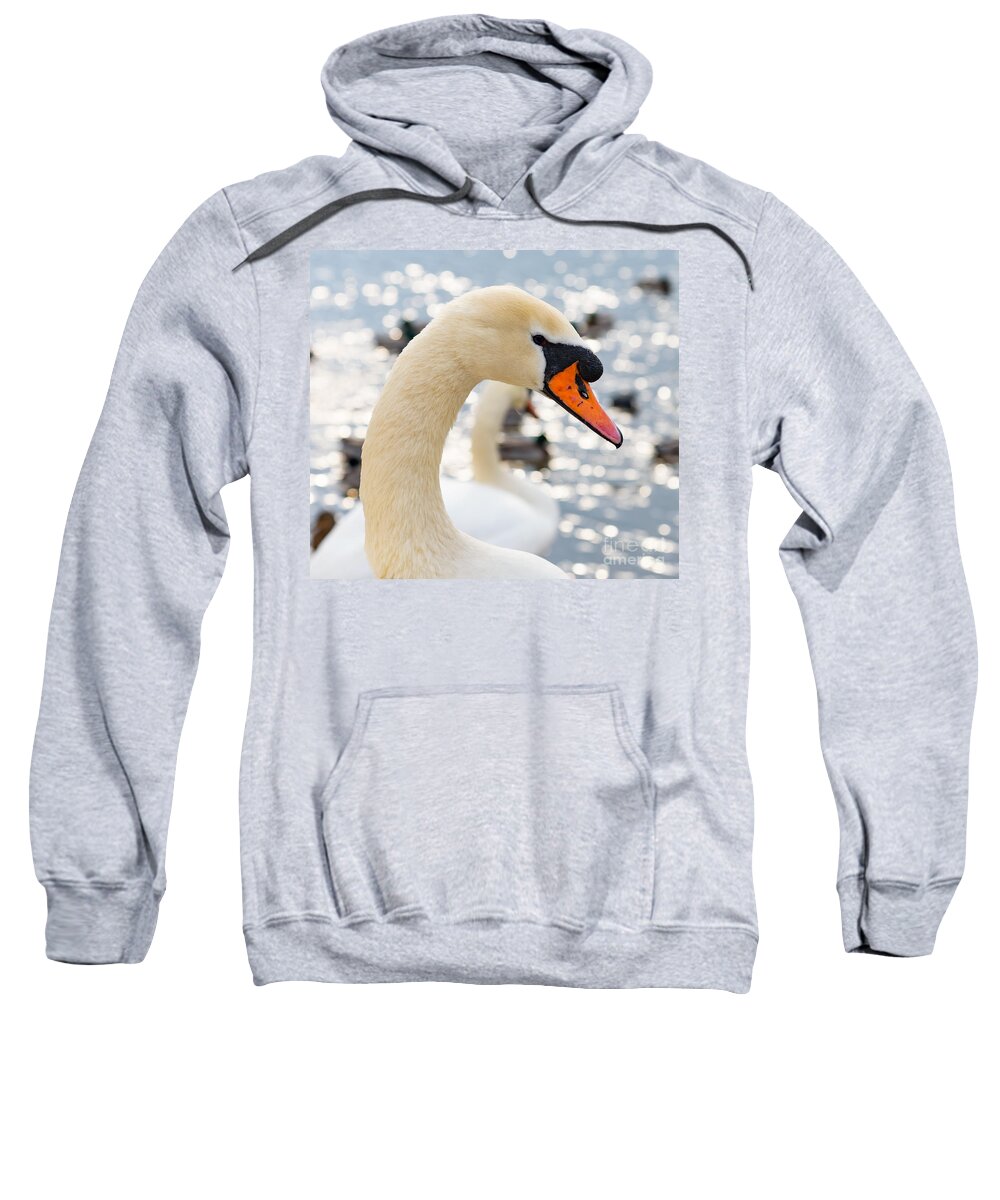 Swan Sweatshirt featuring the photograph Swan by Colin Rayner
