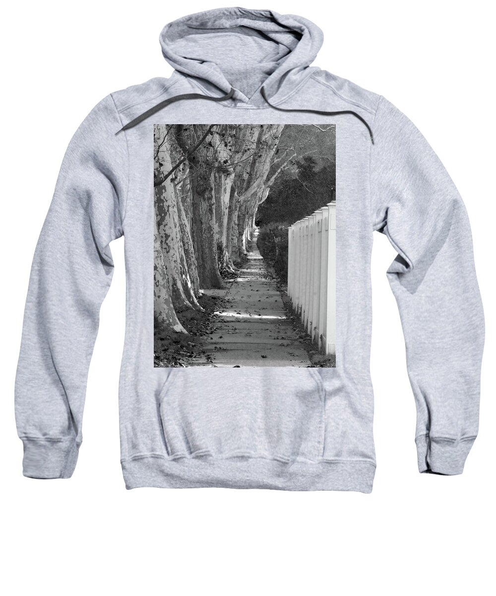 Grayscale Sweatshirt featuring the photograph Sycamore Walk-grayscale version by Leon deVose