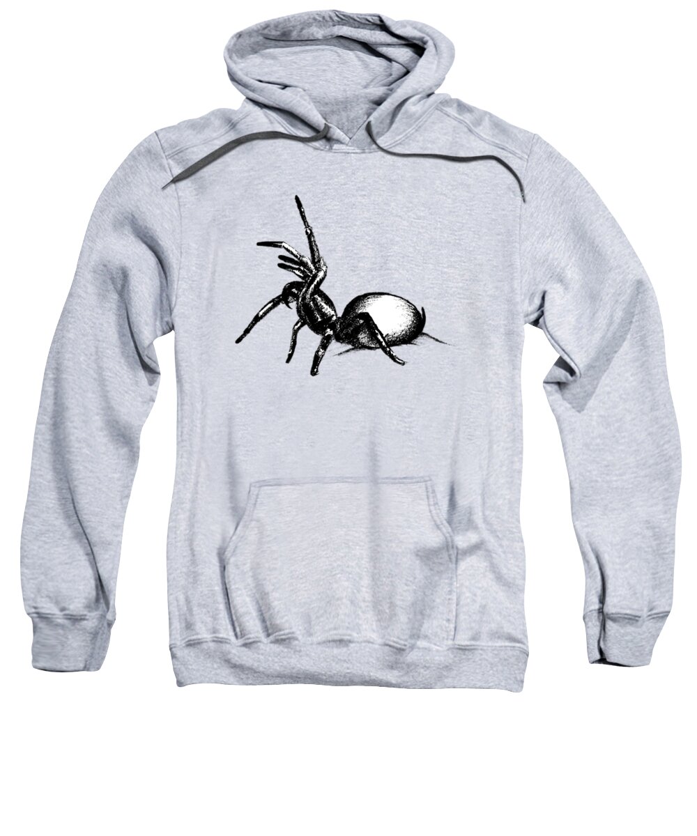 Spider Sweatshirt featuring the drawing Sydney Funnel Web by Nicholas Ely