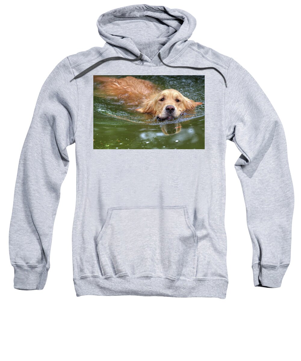 Dog Sweatshirt featuring the photograph Emerging by Tatiana Travelways