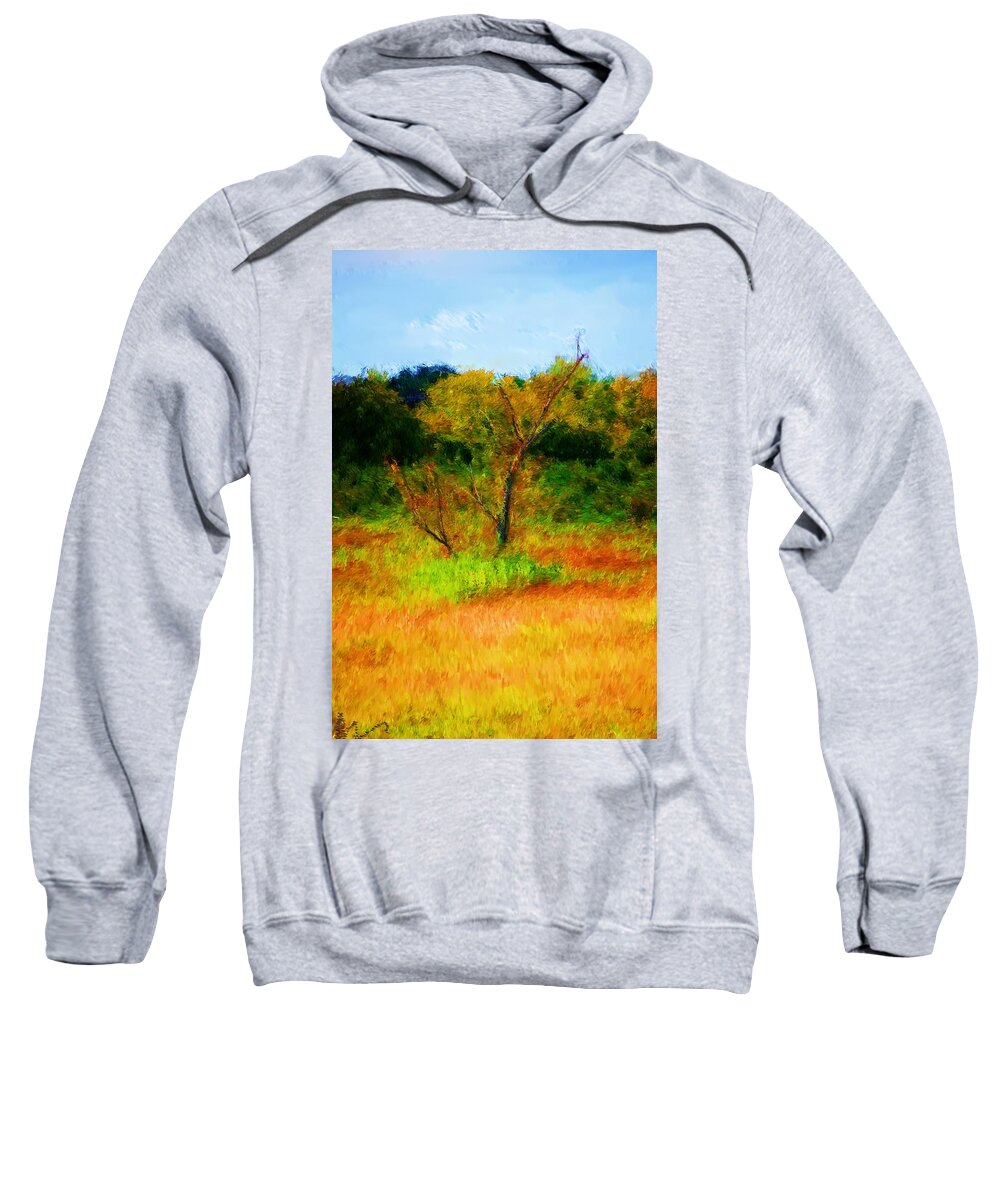 Landscape Sweatshirt featuring the photograph Texas Landscape 102310 by David Lane