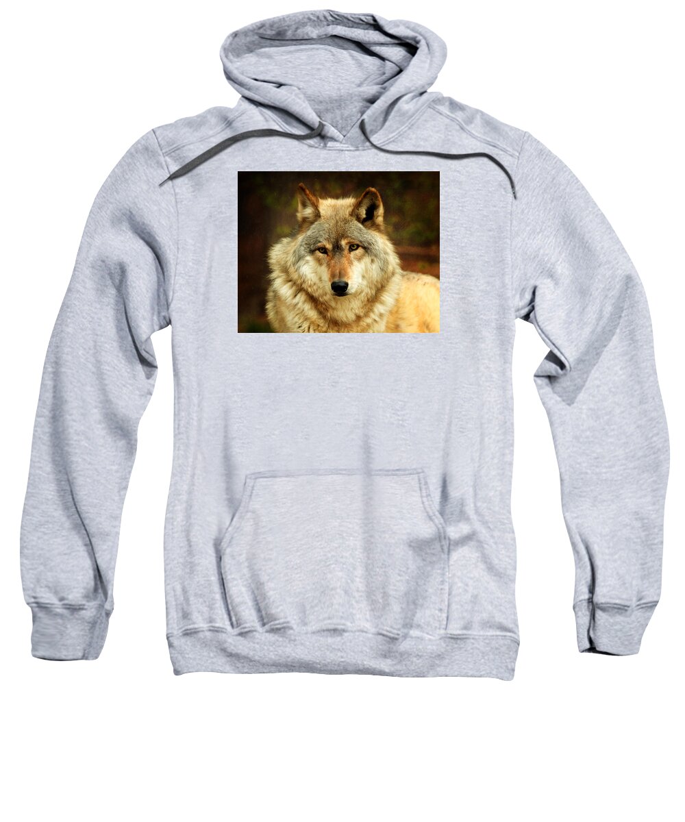 Animal Sweatshirt featuring the photograph The Alpha by Susan Rissi Tregoning