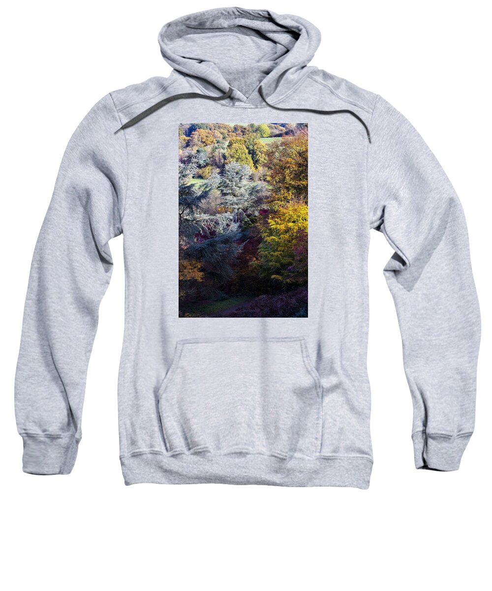 Autumn Sweatshirt featuring the photograph The Colours of Autumn by Andy Myatt