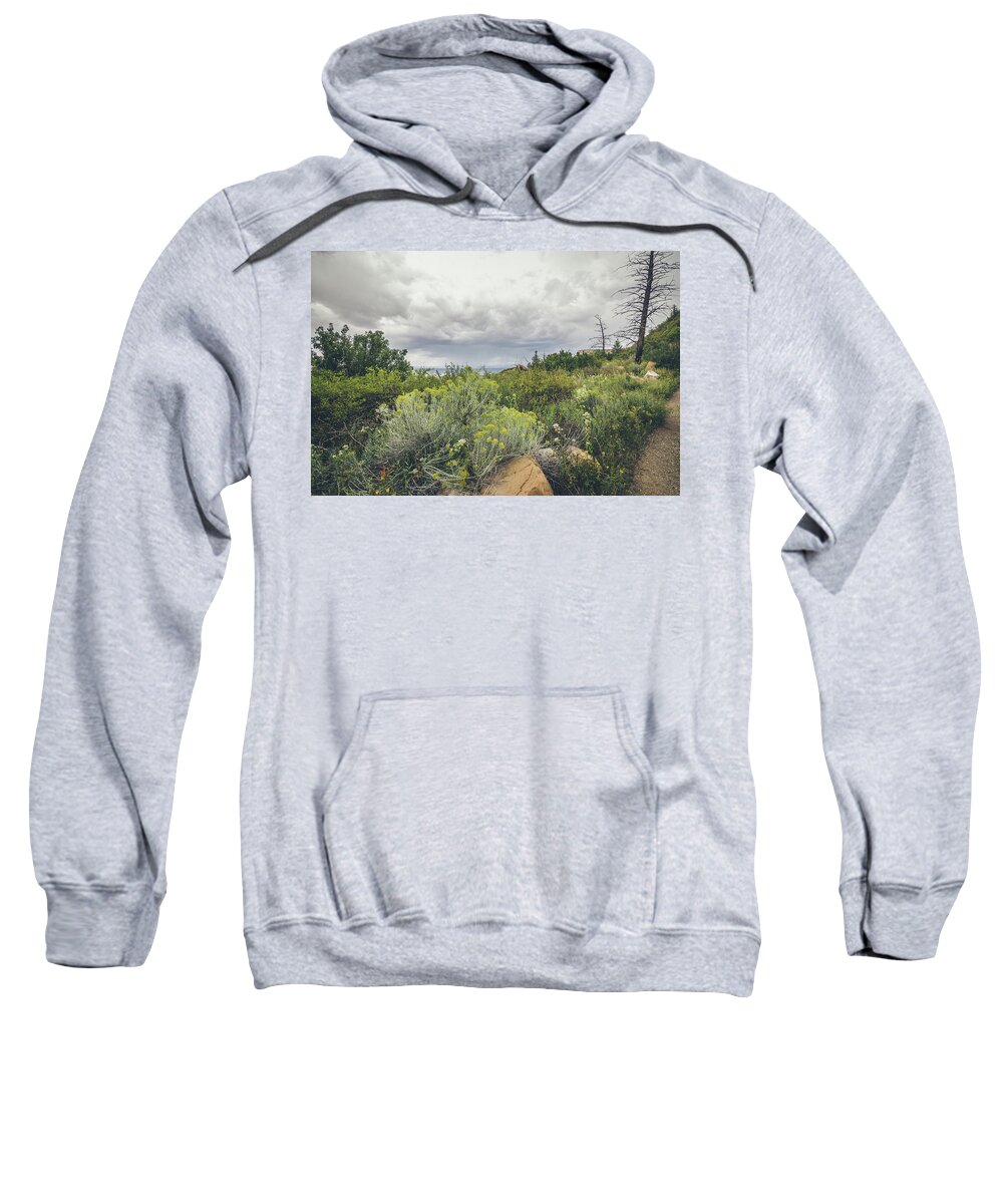 Landscape Sweatshirt featuring the photograph The Desert Comes Alive by Margaret Pitcher