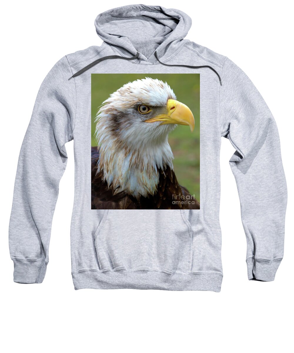 Bird Sweatshirt featuring the photograph The Gaurdian by Stephen Melia