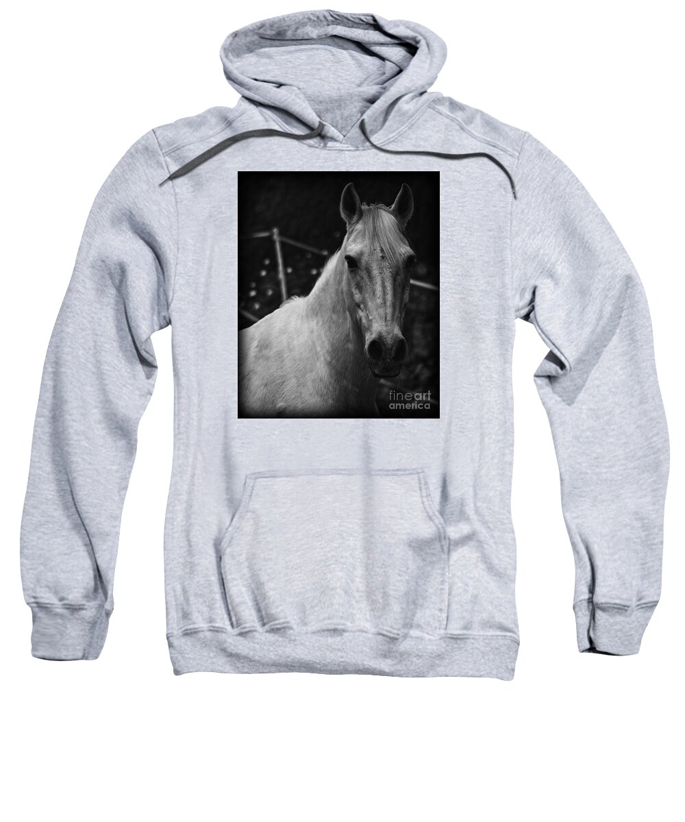 Horse Sweatshirt featuring the photograph The General by Clare Bevan
