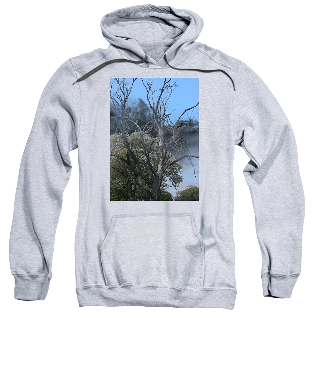 Tree Sweatshirt featuring the photograph The Height of Rodomontade by Char Szabo-Perricelli