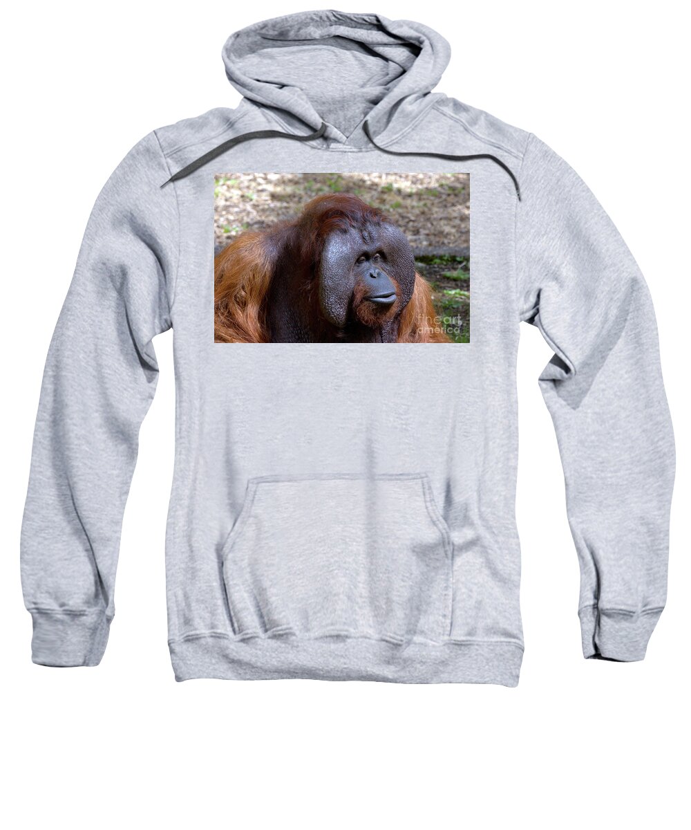 Animal.ape Sweatshirt featuring the photograph The Jungle V.I.P. by Stephen Melia