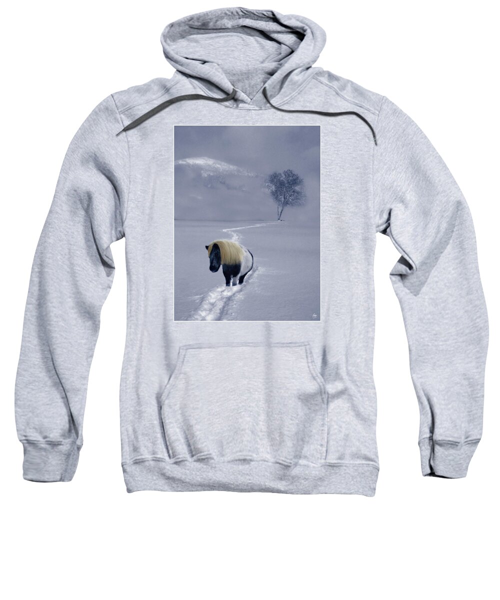 Birch Sweatshirt featuring the photograph The Mane and the Mountain by Wayne King