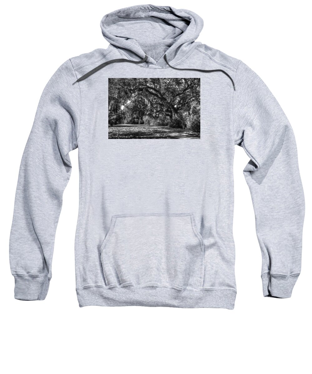 Beauty Sweatshirt featuring the photograph The Mighty Oaks 1 bw by Dimitry Papkov