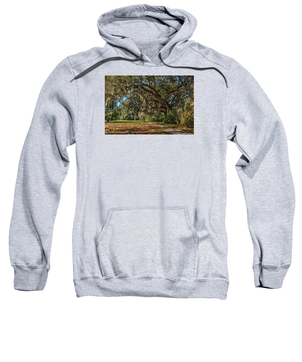 Beauty Sweatshirt featuring the photograph The Mighty Oaks 1 by Dimitry Papkov