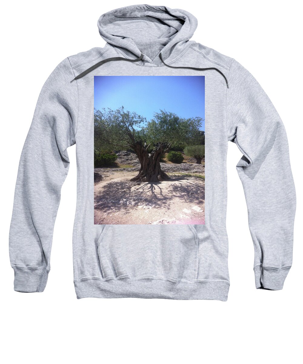 Rugged Tree Sweatshirt featuring the photograph The Old Rugged Tree by Susan Grunin