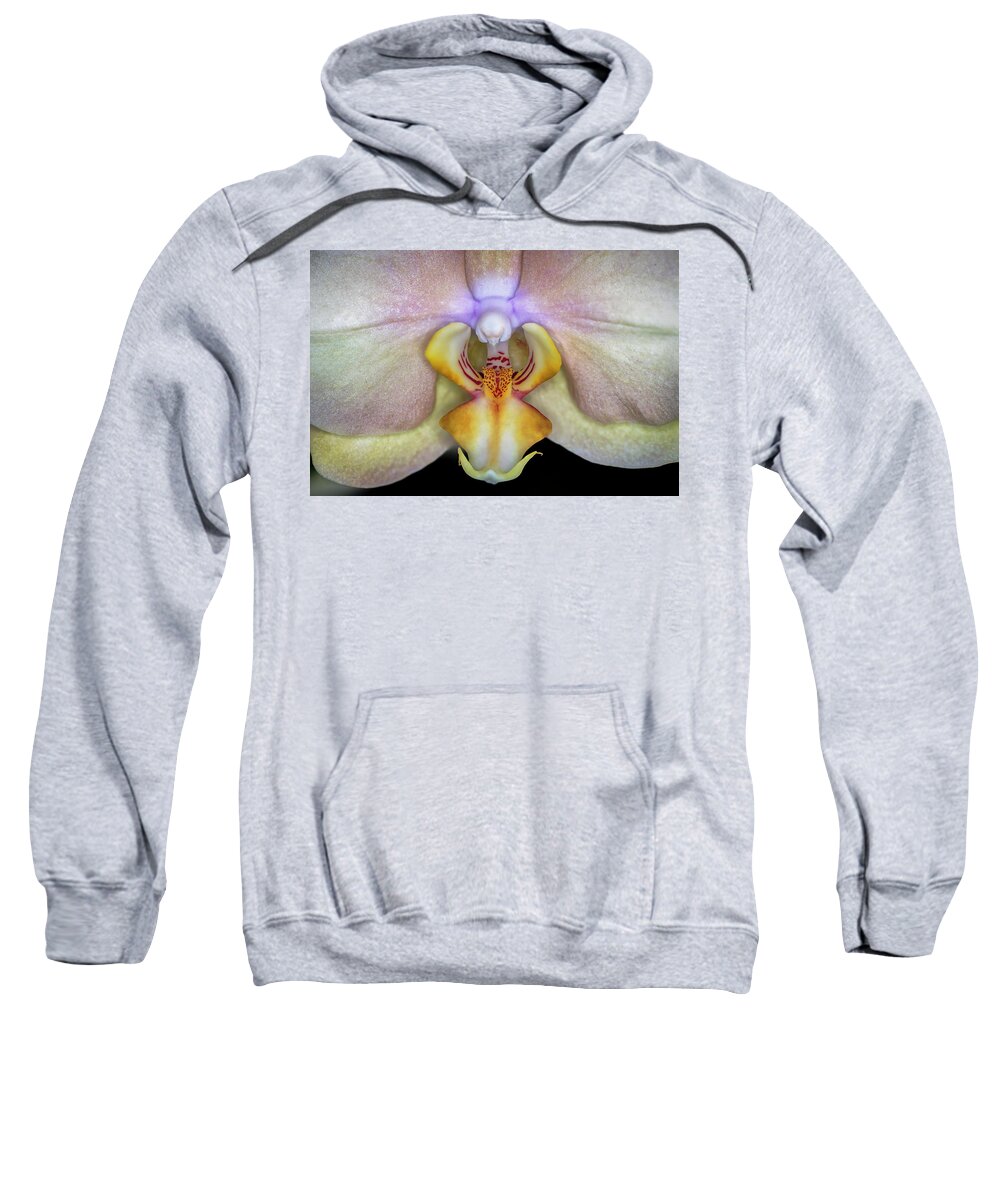 Orchid Sweatshirt featuring the photograph The Orchid by The Flying Photographer