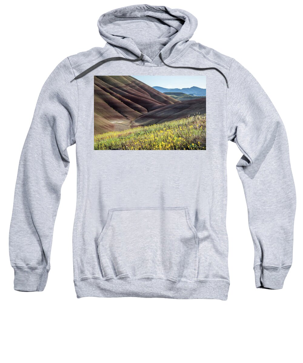 Thepaintedhills Sweatshirt featuring the photograph The Painted Hills in Bloom by Tim Newton