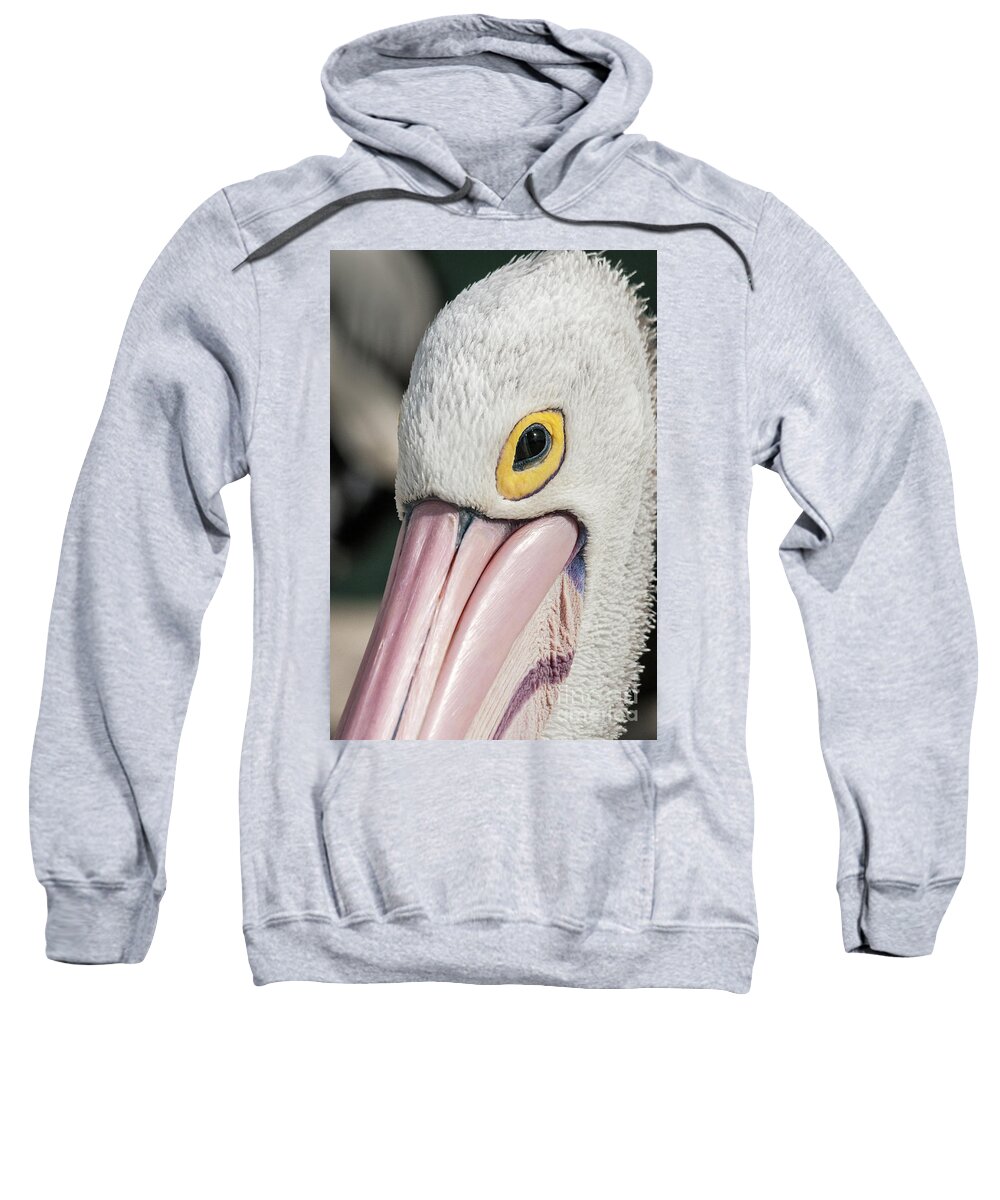 Bird Sweatshirt featuring the photograph The Pelican Look by Werner Padarin