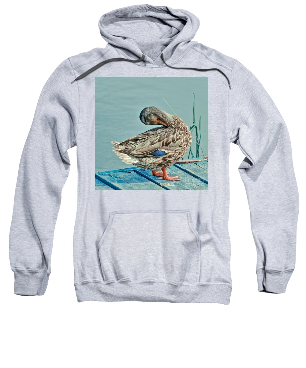 Duck Sweatshirt featuring the photograph The Pose by Aimelle Ml